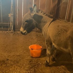 Meet your Posher, Rebecca